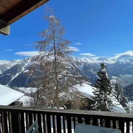 3-Zimmerwohnung Chalet Ramona, Top-Aussicht * Riederalp